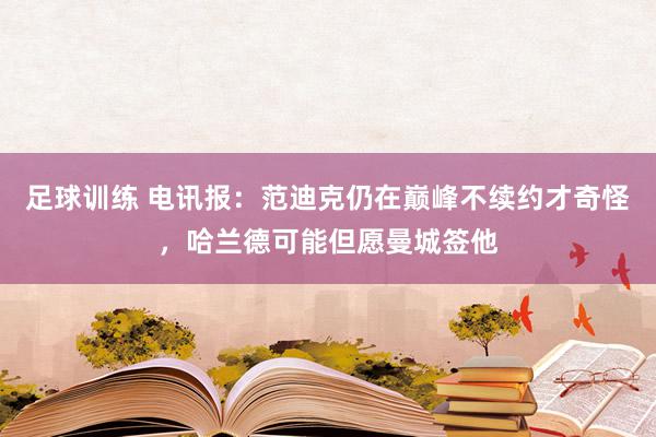 足球训练 电讯报：范迪克仍在巅峰不续约才奇怪，哈兰德可能但愿曼城签他