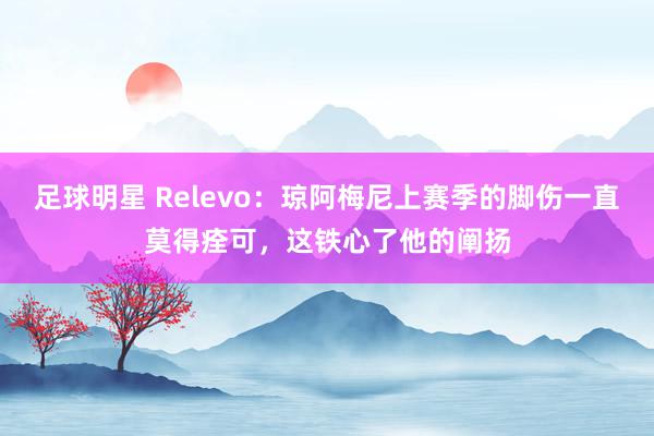 足球明星 Relevo：琼阿梅尼上赛季的脚伤一直莫得痊可，这铁心了他的阐扬