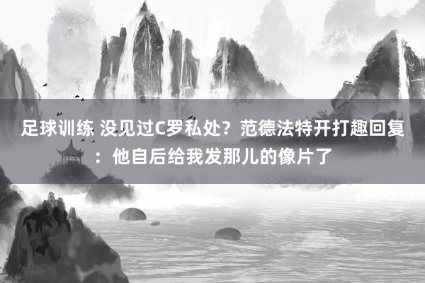 足球训练 没见过C罗私处？范德法特开打趣回复：他自后给我发那儿的像片了