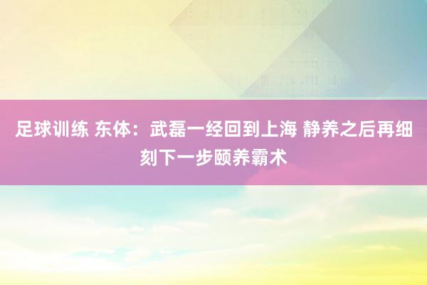 足球训练 东体：武磊一经回到上海 静养之后再细刻下一步颐养霸术