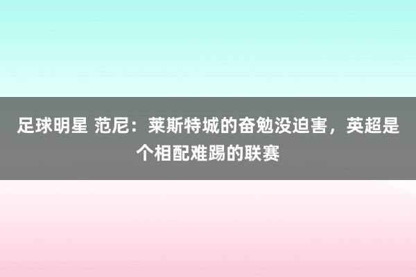 足球明星 范尼：莱斯特城的奋勉没迫害，英超是个相配难踢的联赛